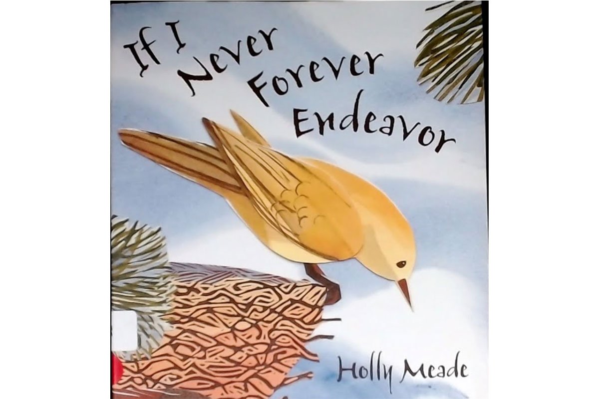 book review if i never forever endeavor